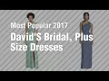David S Bridal Plus Size Dresses Most Popular 2017