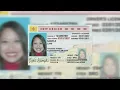 MVD faces lawsuit over new identification system