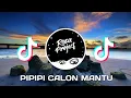 Download Lagu DJ PI PI PI CALON MANTU | NOVIN ASIA | REMIX FULL BASS
