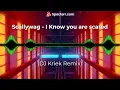 Download Lagu Scallywag - I Know you are scared (DJ Kriek Remix)