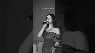 هذي المدة طويلة وانا نحوس أنا وعلى على غزالتي شاب مامي Cheb Mami 