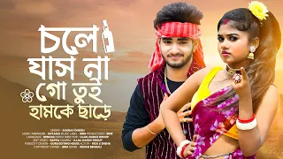 chole jasna go tui humke chare ujjal dance group purulia new song