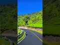 Download Lagu Pokoknya tak boleh bernafas bebas