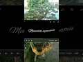 Download Lagu Cover Gambus || Kain Kafan