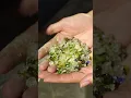 Here s how this entrepreneur crushes glass bottles back into sand