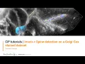 CIF Tutorials Imaris Spine detection on a Golgi-cox prepared sample