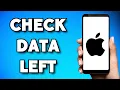 How To See How Much Data You Have Left on iPhone 2025 Guide