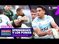 Download Lagu South Africa v Argentina Highlights | Round 5 | The Rugby Championship 2025