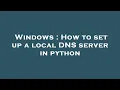 Windows How to set up a local DNS server in python
