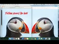 Image Editor - Final Project for code in place Stanford University
