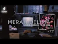 Lagu Dj Merah Delima - Ayi Djafar ( feat. Fabrizio Assa ) Disco Tanah
