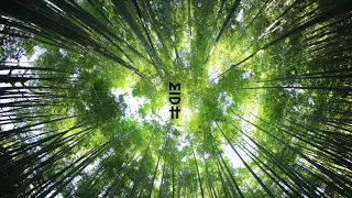 djeff feat izha magic forest da africa deep remix 