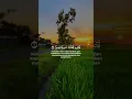 Download Lagu Semu kehidupan di dunia sudah tercatat dalam Al-Quran