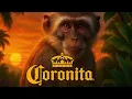 Download Lagu 🧡 Coronita Mix 2025 🧡Mókás Dallamok 🧡 By Monkey Dealer