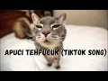 Download Lagu Apuci Teh Puck (Tiktok Viral song) FullVersion
