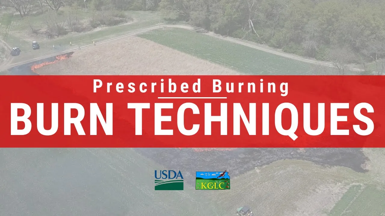What are the Different Burn Techniques - Prescribed Burning