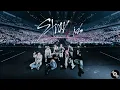 Stray Kids Songs To Dance & Sing Along 🎶 | Best STRAY KIDS Playlist 2025