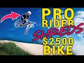 Polygon T8 Meets Pro Rider
