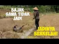 TIDAK JADI BAJAK SAWAH,, JADINYA BERKELAHI