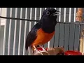 Download Lagu Ik heb je ontmoet