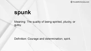spunk Meaning