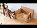 Litter One - Self-Contained Natural Cat Litter