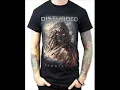 Disturbed - Hold On To Memories