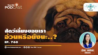 ทำไมการดูน้ำหนักอย่างเดียวจึงไม่พอในการประเมินความอ้วนของสุนัข