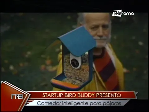 Startup Bird Buddy presentó comedor inteligente para pájaros