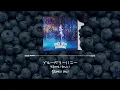 WurtS - ブルーベリーハニー(Blueberry Honey) [가사/발음/한글자막]