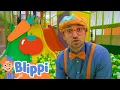 Download Lagu Blippi Learns Vegetables at Jumping Beans Indoor Playground | Educational Videos for Kids