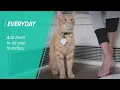 The Best Way to Find Your Keys - Tile Mate