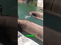 Download Lagu Never swim near this hole. #shorts #youtubeshorts #viralshorts #facts