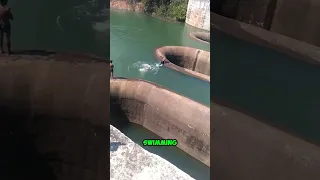 Never Swim Near This Hole Shorts Youtubeshorts Viralshorts Facts 