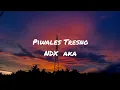 Download Lagu Piwales Tresno - NDX AKA ( lirik dan terjemahan)