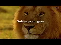 World Earth Day A 3-Minute Nature Break with Great Plains Conservation