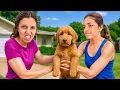 Download Lagu MY BEST FRIEND KIDNAPPED MY PUPPY...