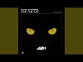 Download Lagu For the Cat
