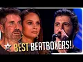 Download Lagu Best Beatbox Auditions EVER on Got Talent!