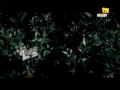 دارين حدشيتي كبار شوي
