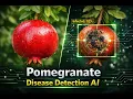 AI Pomegranate Fruit Disease Detection System Final Year Agriculture AI Project