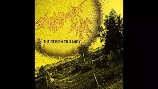 Download James Doesn't Exist- The Return to Sanity (Full Album) MP3