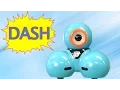 Dash Robot from Wonder Workshop