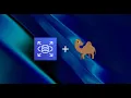How We Integrated Amazon RDS with Camel AGI