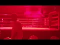 Download Lagu Lily Wayne vs Dabeleza é hoje o ring já está preparado 😅