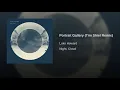 Portrait Gallery (Tim Shiel Remix)