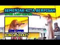 Download Lagu Semenjak Kita Berpisah Cover Lagu Melayu - Bunga Sirait live cover