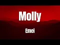 Molly || Emei || Lyrics