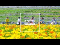 アゲイン / WANIMA【歌詞付】TVドラマ「メゾン・ド・ポリス」主題歌｜Cover｜MV｜PV｜FULL｜ワニマ｜メゾポリ