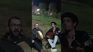 لمشاهب لمجانن 